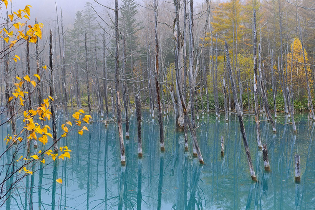 Blue-Pond-11