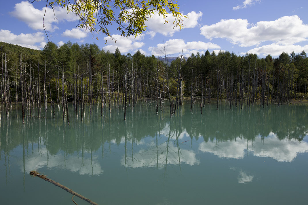Blue-Pond-7