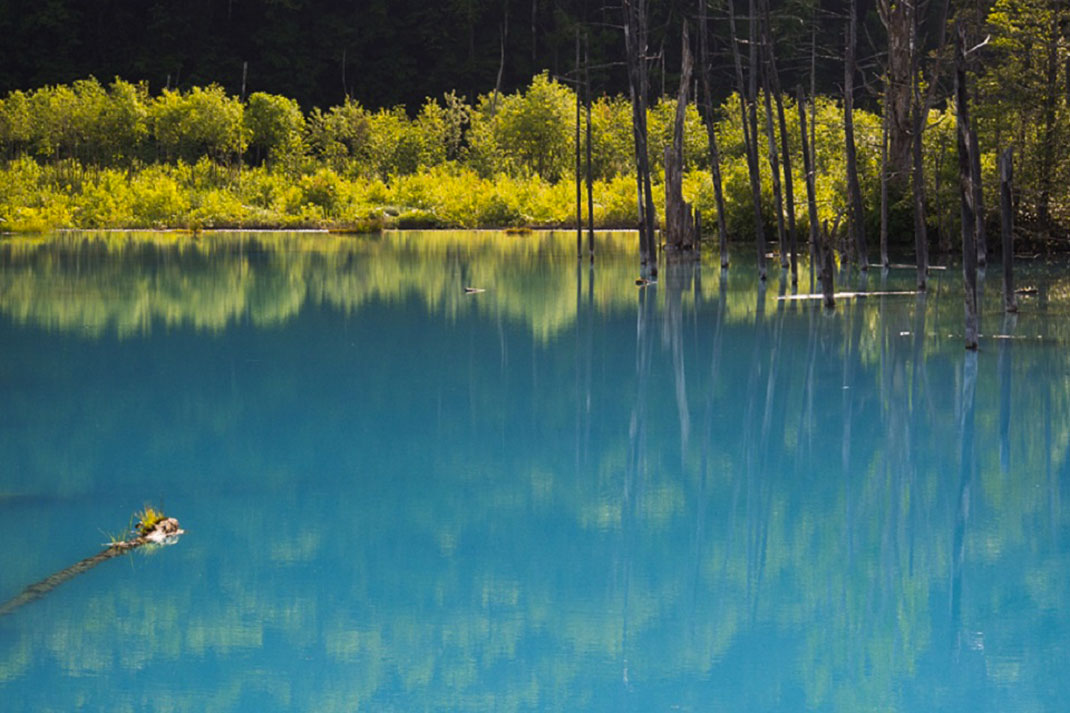 Blue-Pond-8