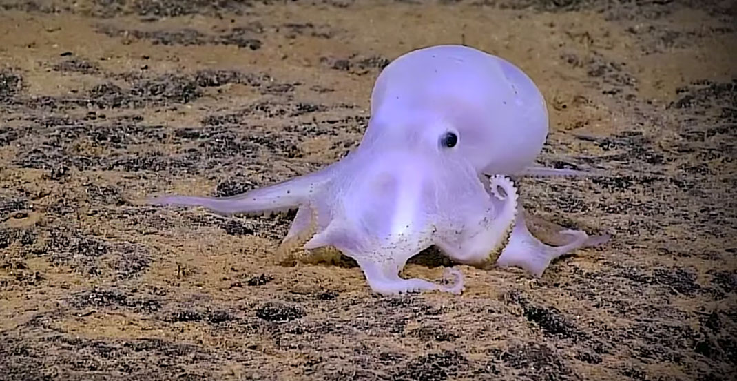 Casper