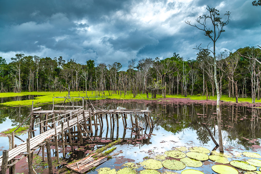 Pantanal-2