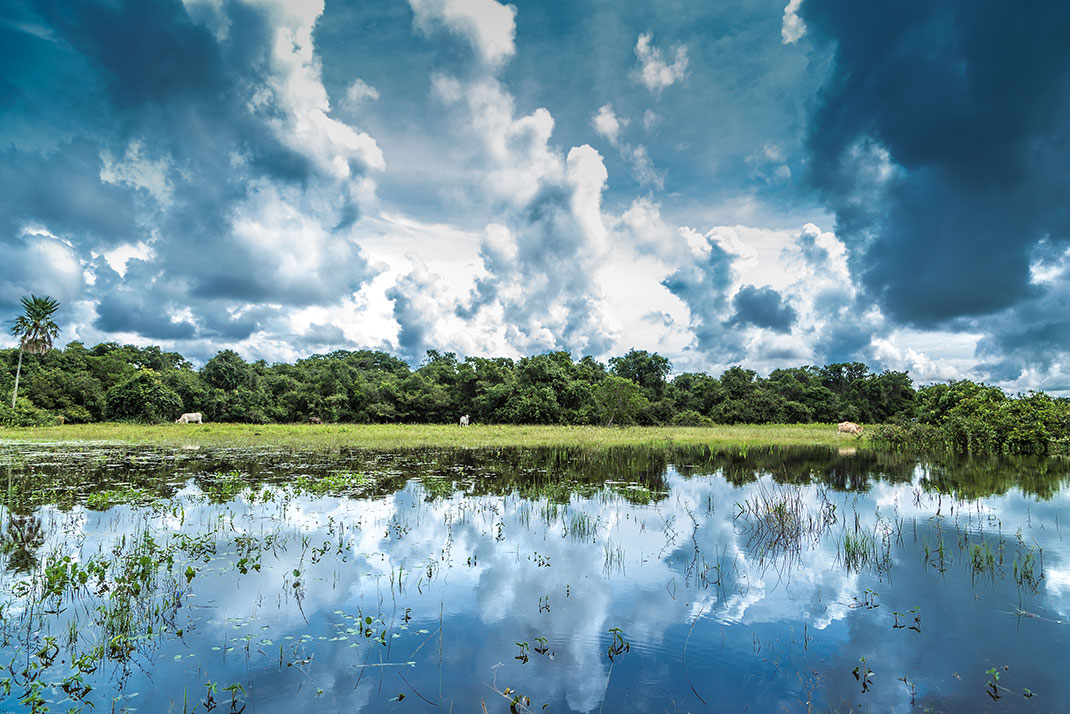 Pantanal-3