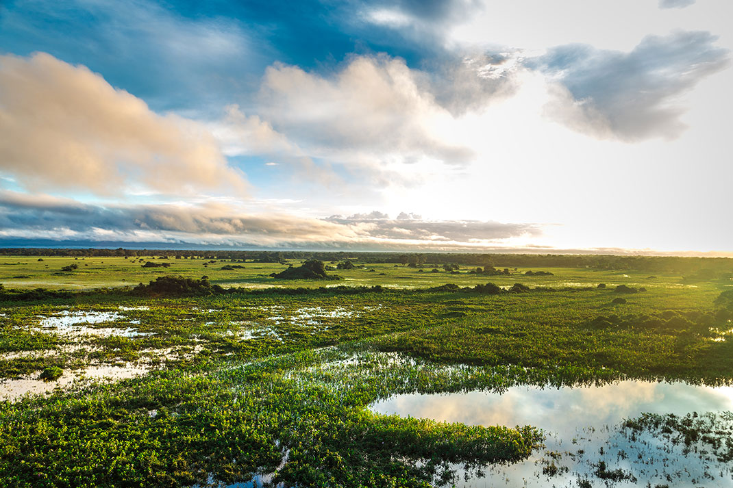 Pantanal-4
