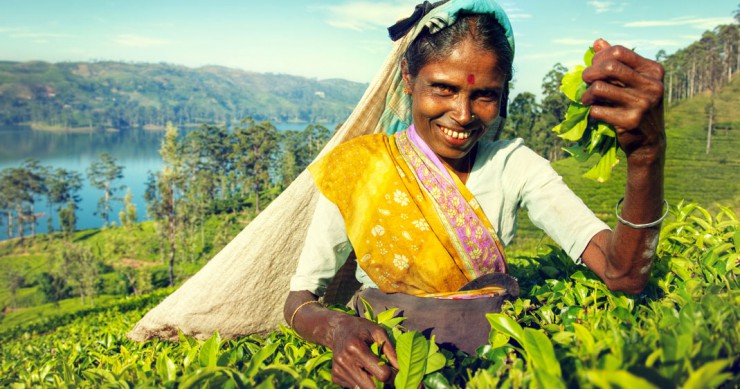 greensim-icrisat-agriculteurs-une