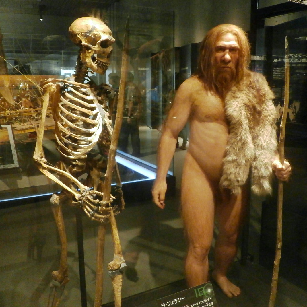 homme-neandertal-2ok