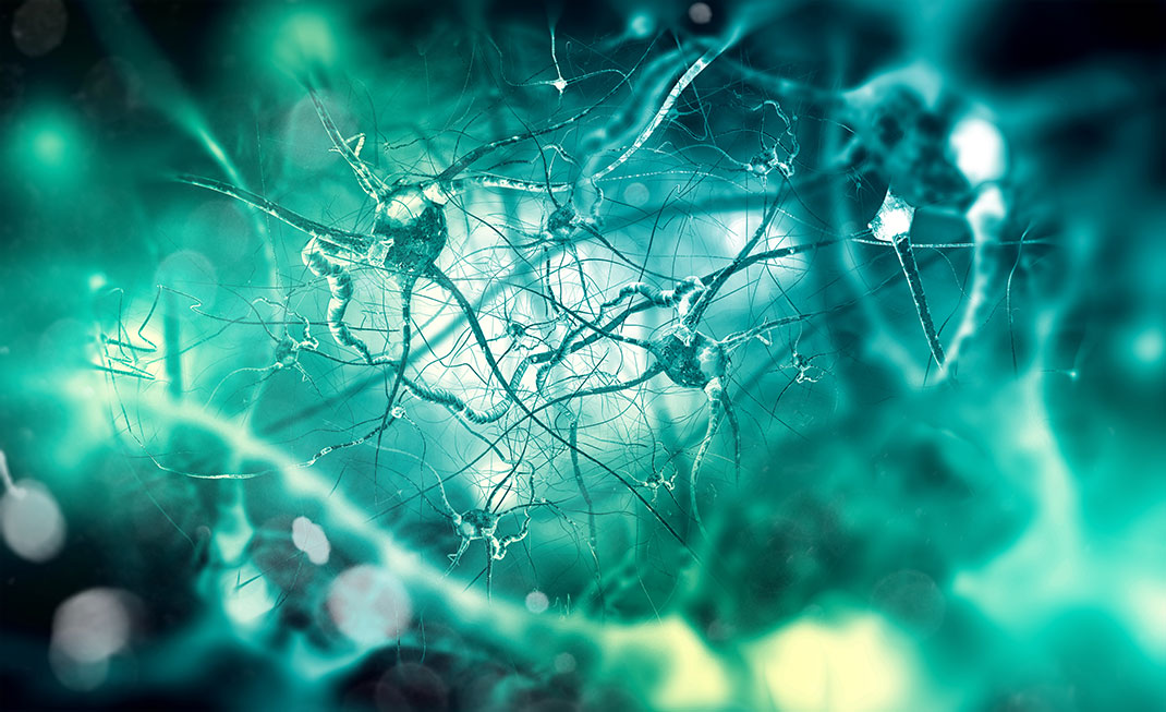 neurones-cerveau