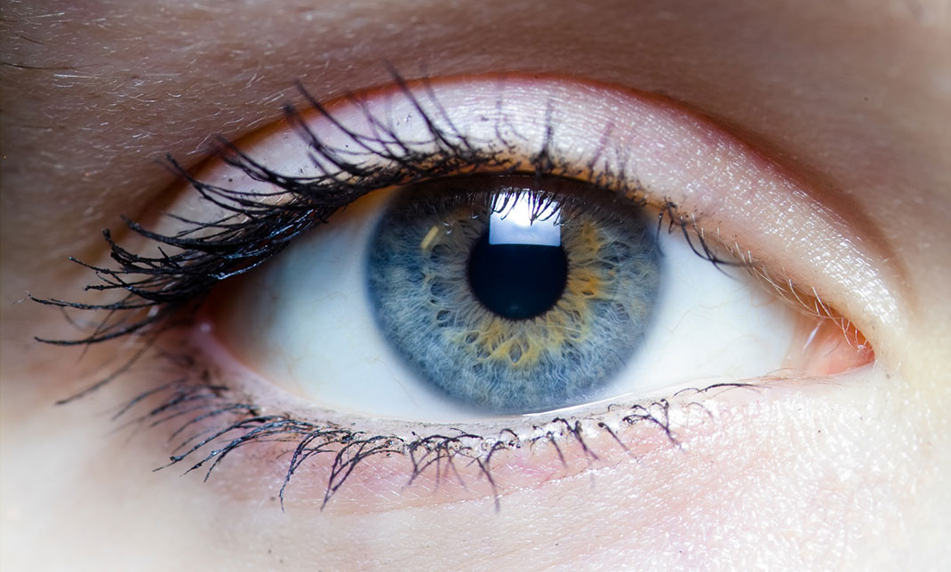 oeil-10