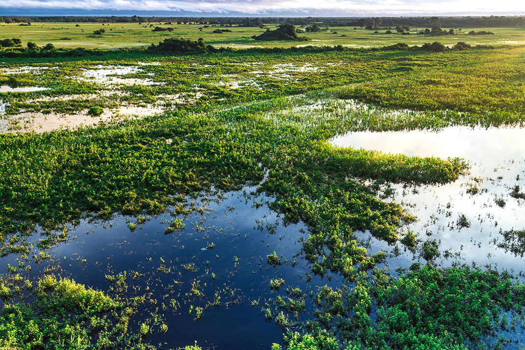 pantanal-6
