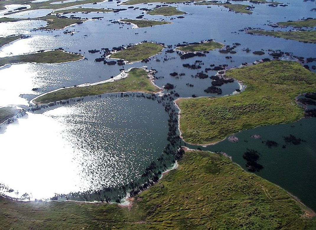 pantanal-9
