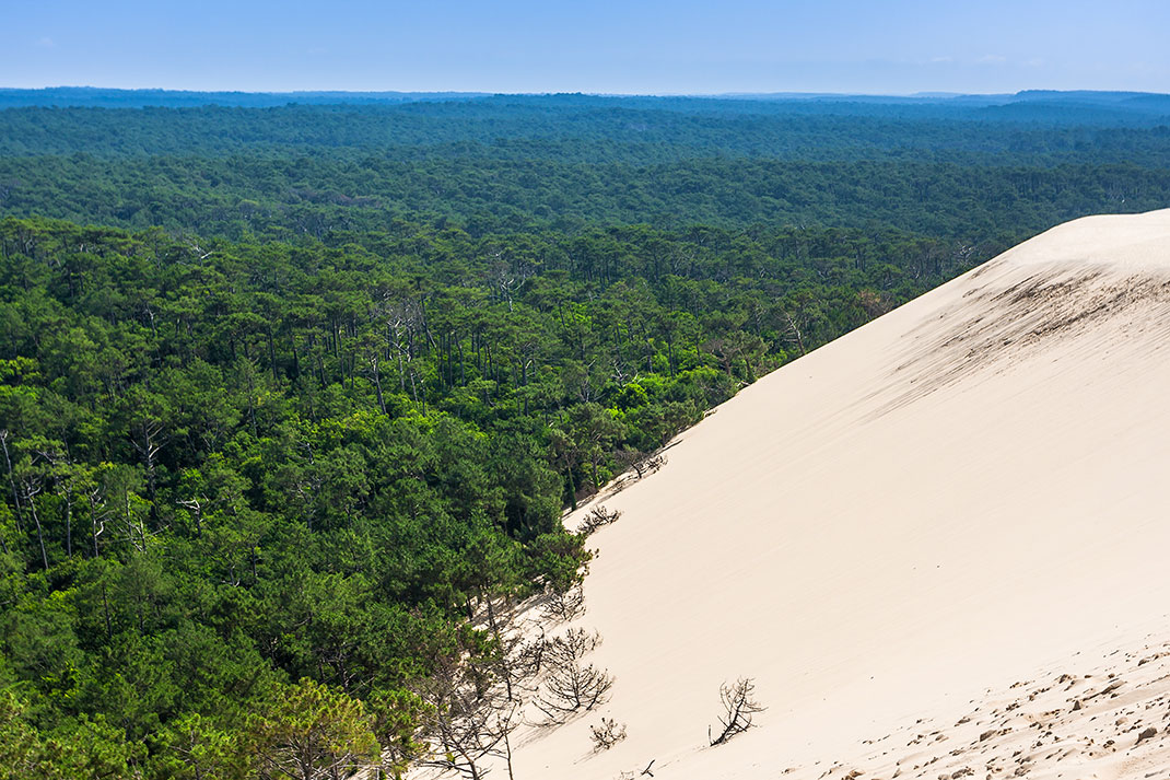 pilat-dune