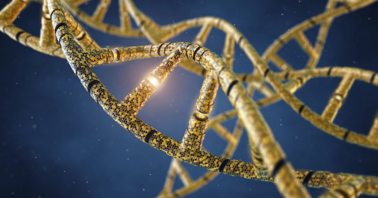 virus-adn-science-une