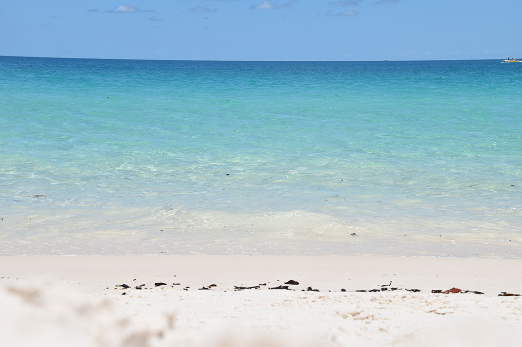 whitehaven-beach-17