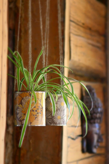 23-conserve-decoration