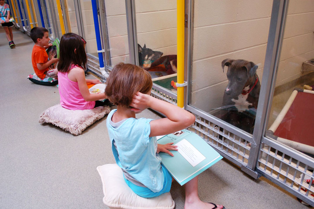 Chiens-enfants-1