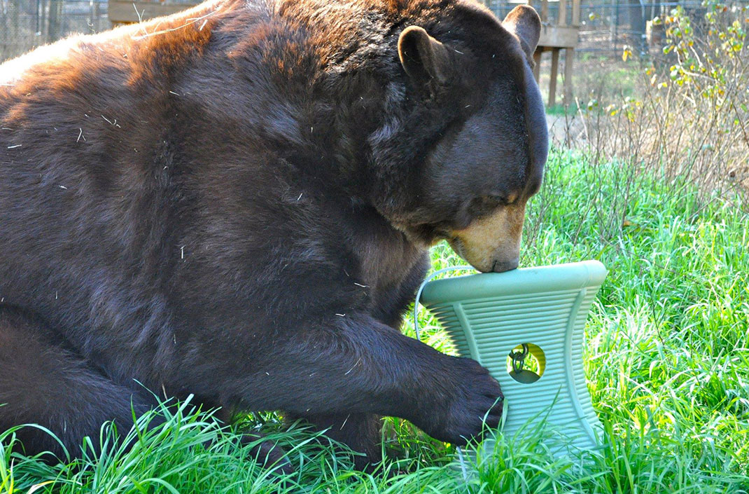 Ours-2