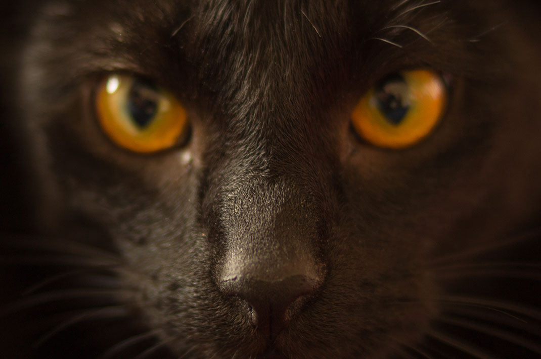 chat-14