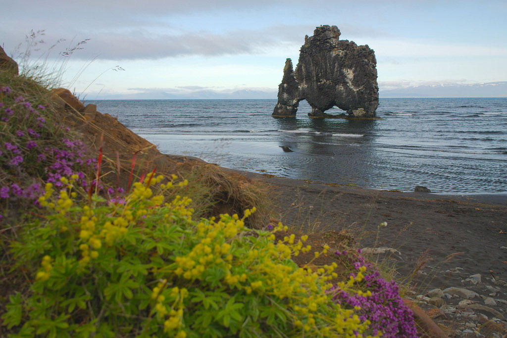Hvitserkur-8