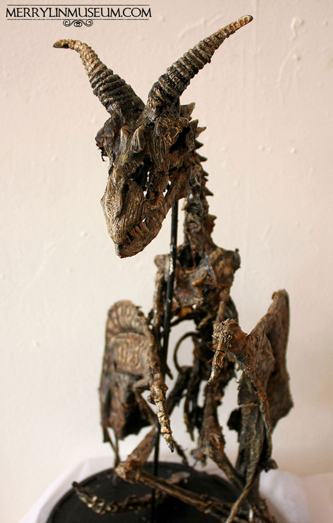 Musee-Merrylin-10