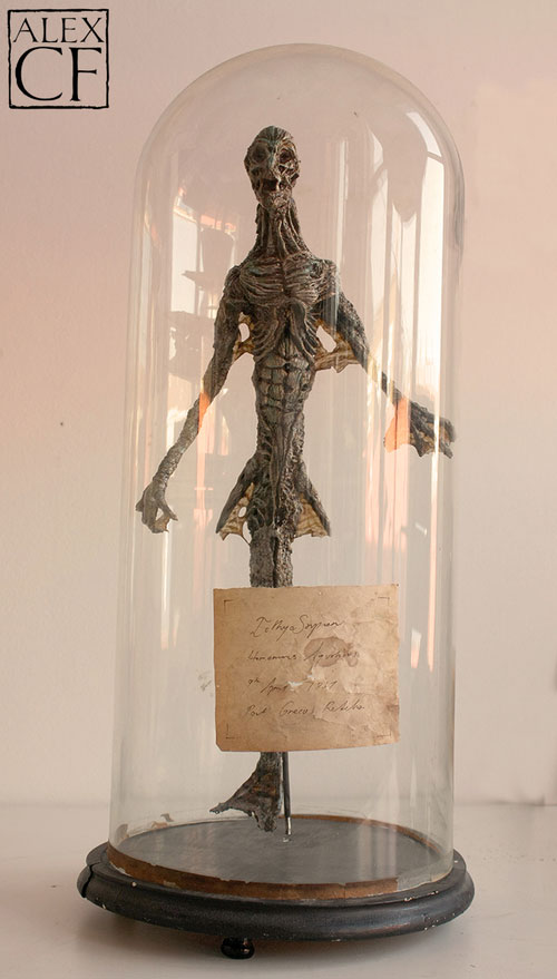 Musee-Merrylin-11
