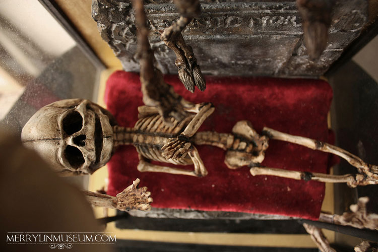 Musee-Merrylin-15