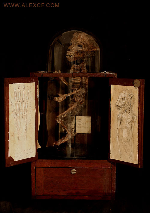 Musee-Merrylin-25