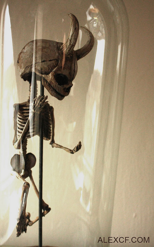 Musee-Merrylin-29