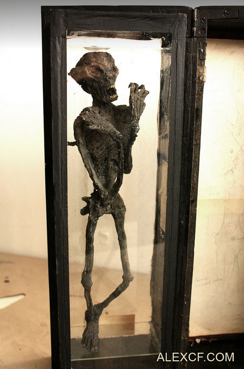 Musee-Merrylin-30
