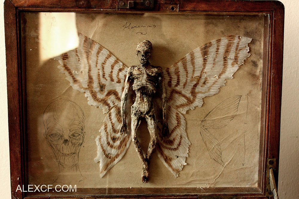 Musee-Merrylin-38