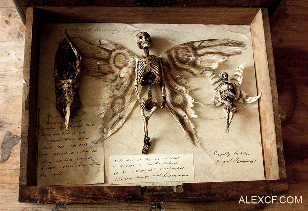 Musee-Merrylin-42