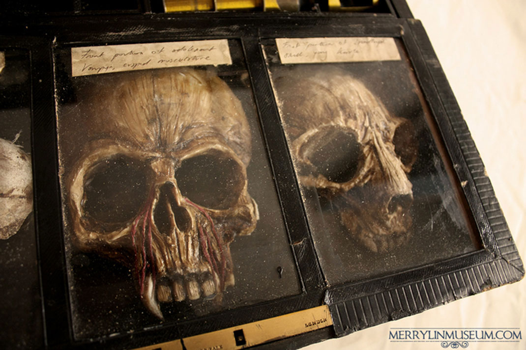 Musee-Merrylin-65