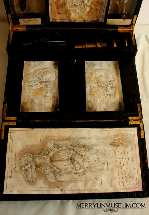 Musee-Merrylin-67
