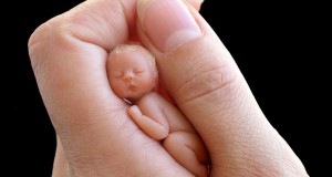 Une-bebe-camille