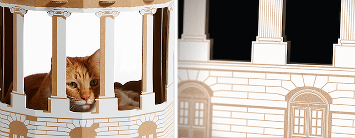 maison-blanche-chat-2