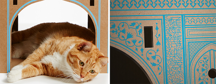 taj-mahal-chat-2