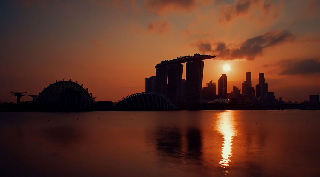 Lion-city-22
