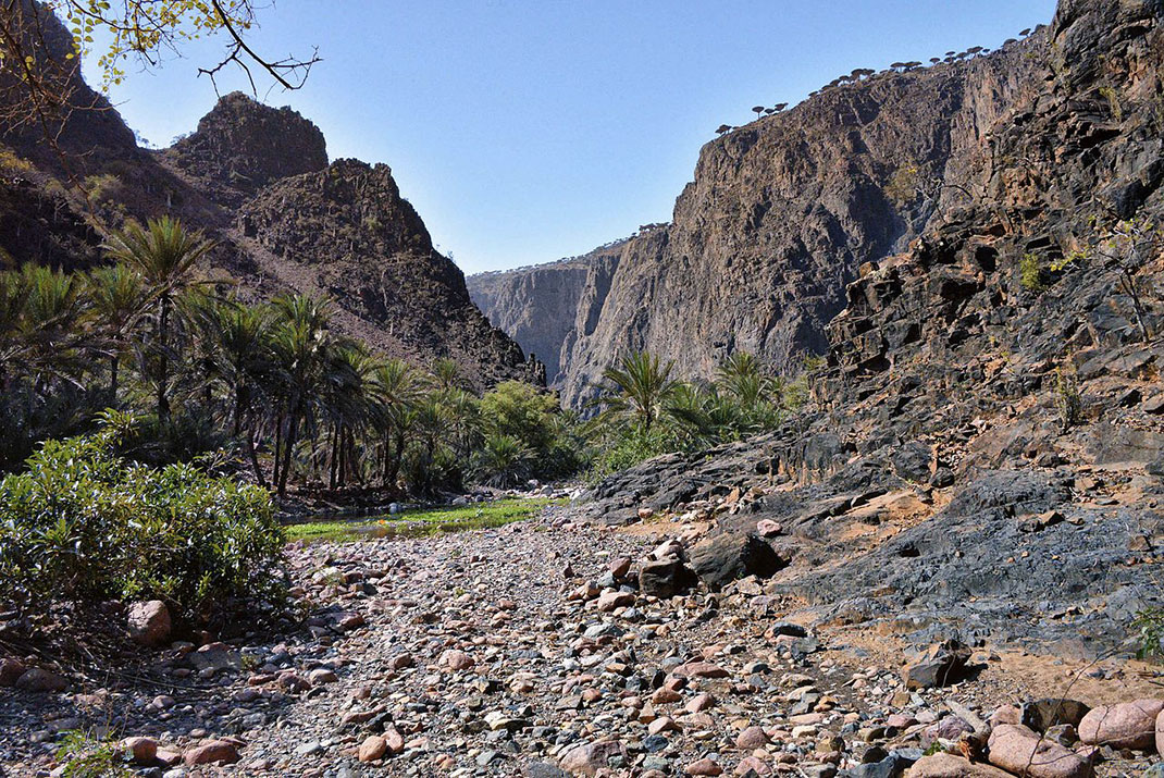 Socotra-5