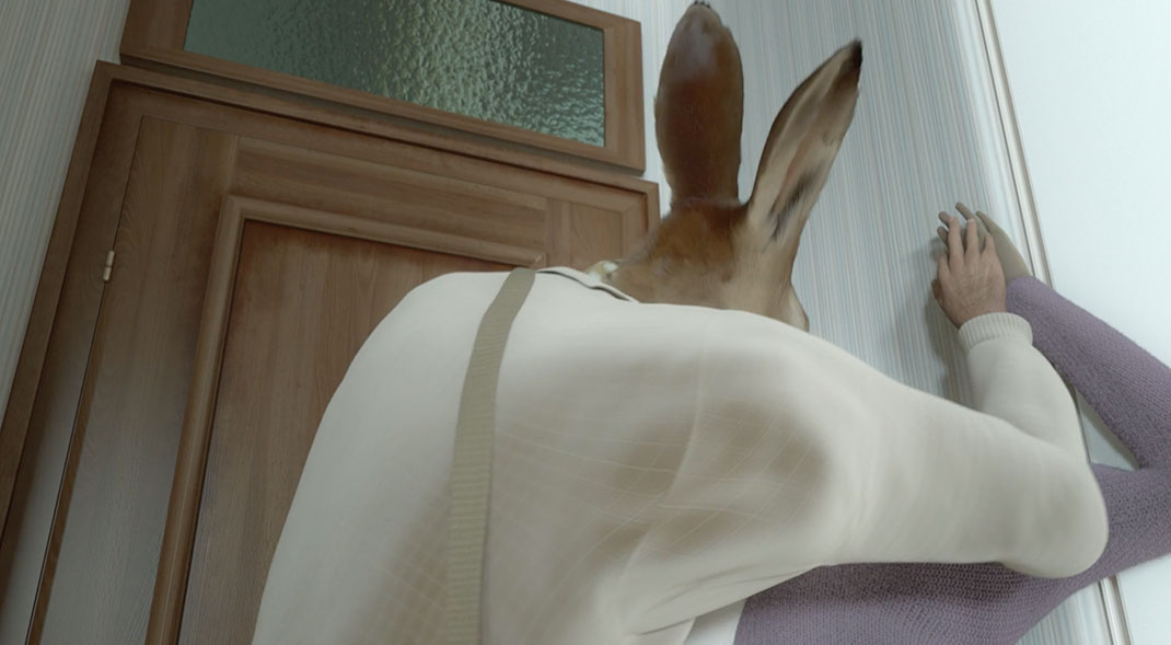 chaud-lapin-6