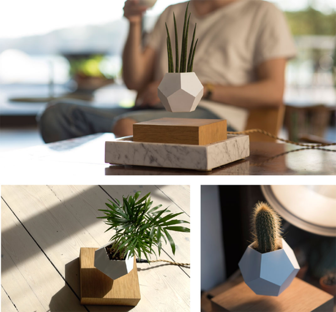 plantes-leviter-11