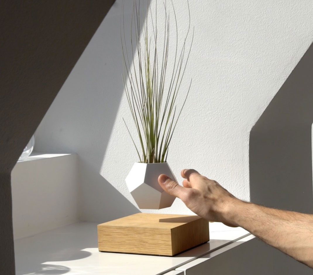 plantes-leviter-6