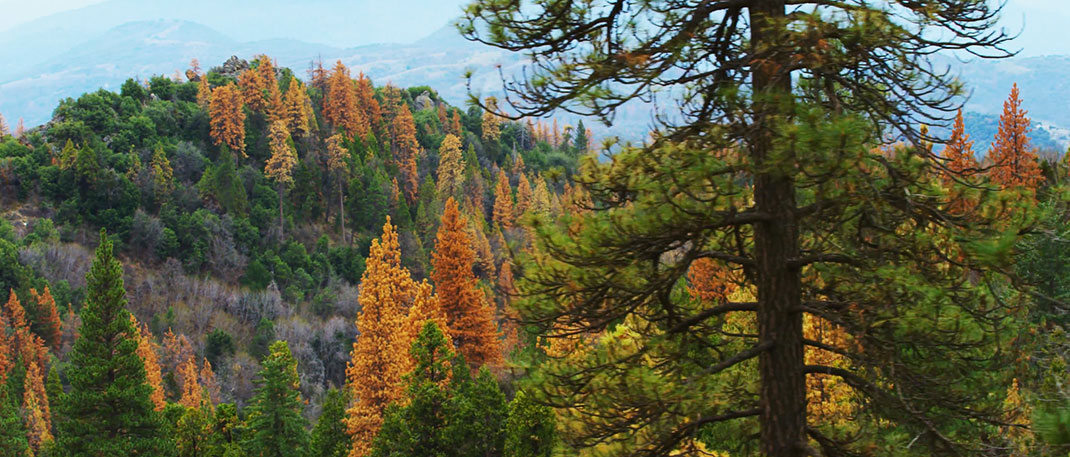 the-color-of-california-14