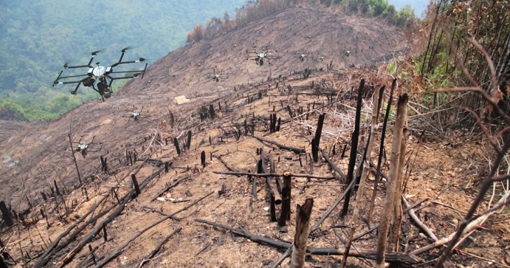 une-drones-arbres