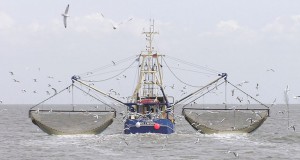 UNE---Article-peche