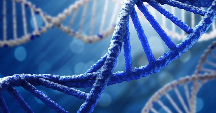 UNE-GENE-ADN-FINALE