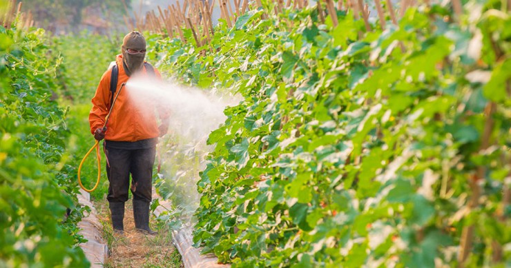 Une-pesticide