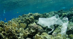 Une-pollution-ocean