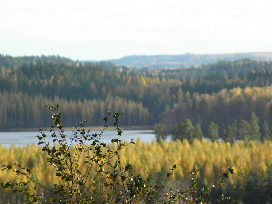 lake11