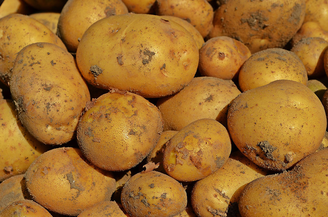 patate
