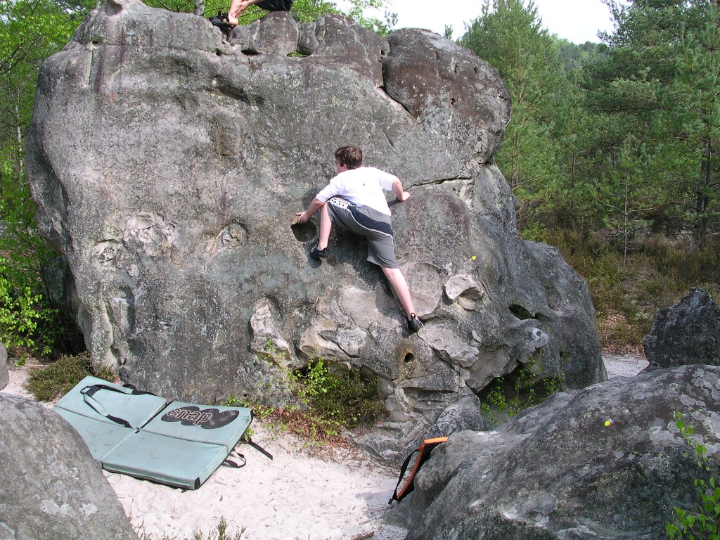 Fontainebleau-1