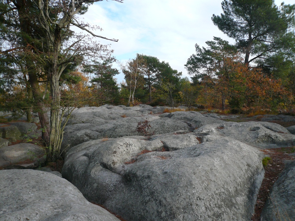Fontainebleau-3