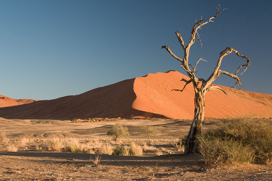Sossusvlei-Namibie-5